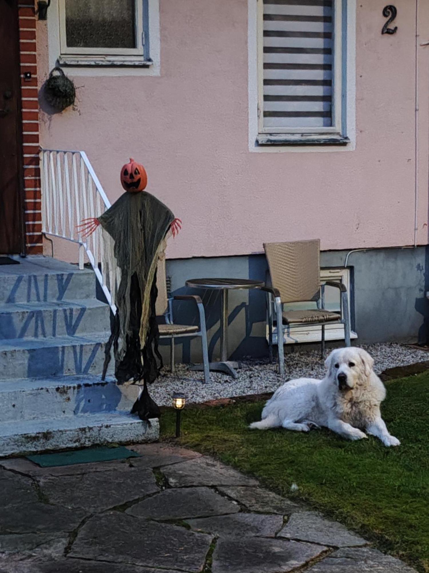 Hela Boendet Uthyres Överlida Dış mekan fotoğraf